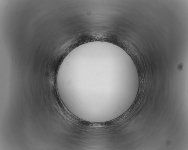 X0000090870710200707270955