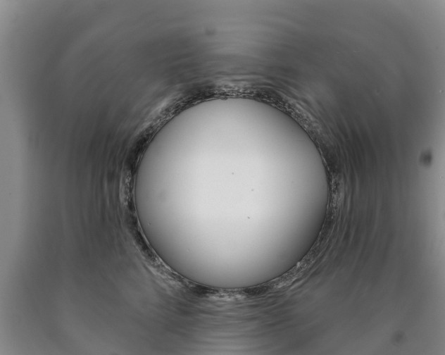 X0000090870712200707270955
