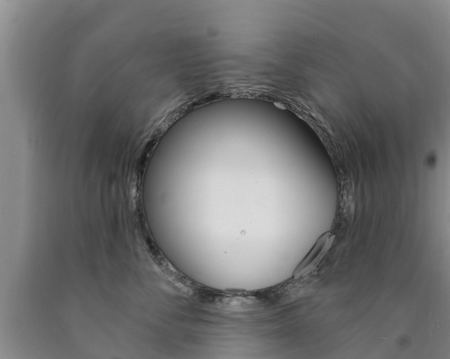 X0000090870716200707270955