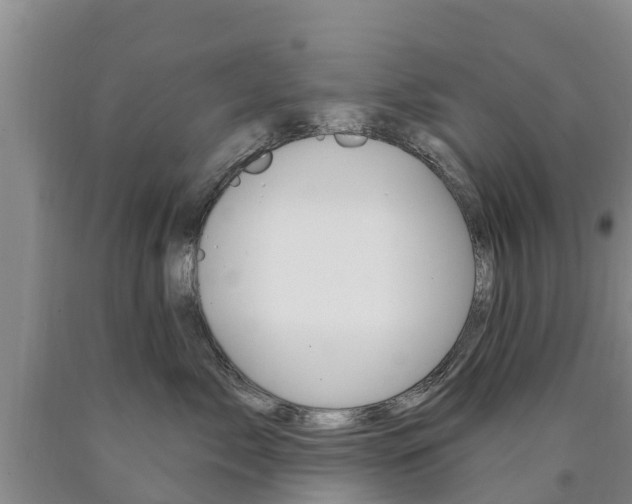 X0000090870717200707270955