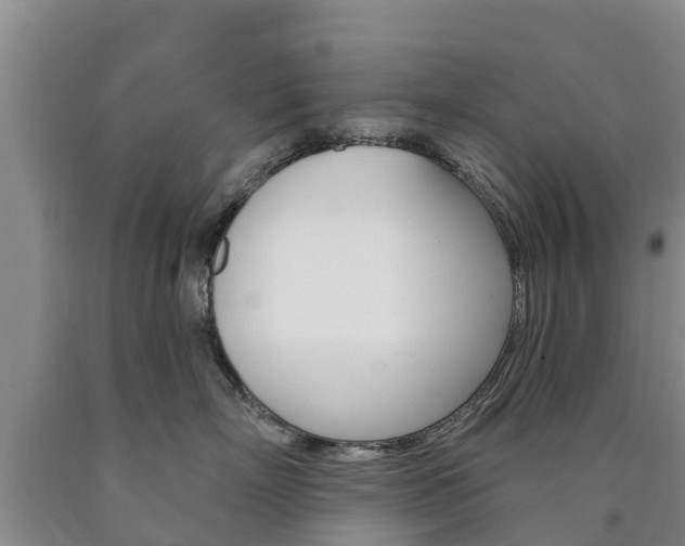 X0000090870718200707270955