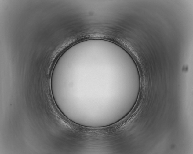 X0000090870721200707270954