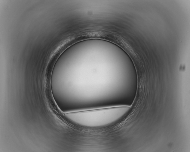 X0000090870722200707270954
