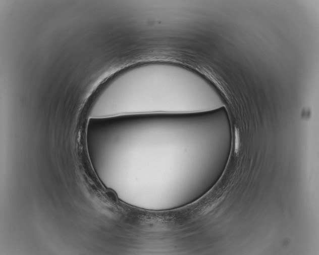 X0000090870723200707270954