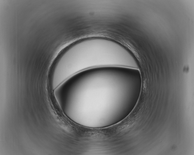 X0000090870724200707270954