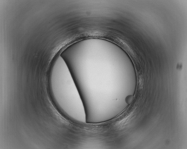 X0000090870725200707270954