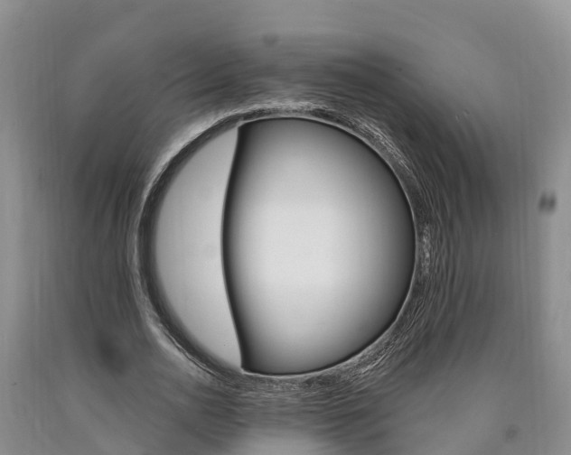 X0000090870726200707270954