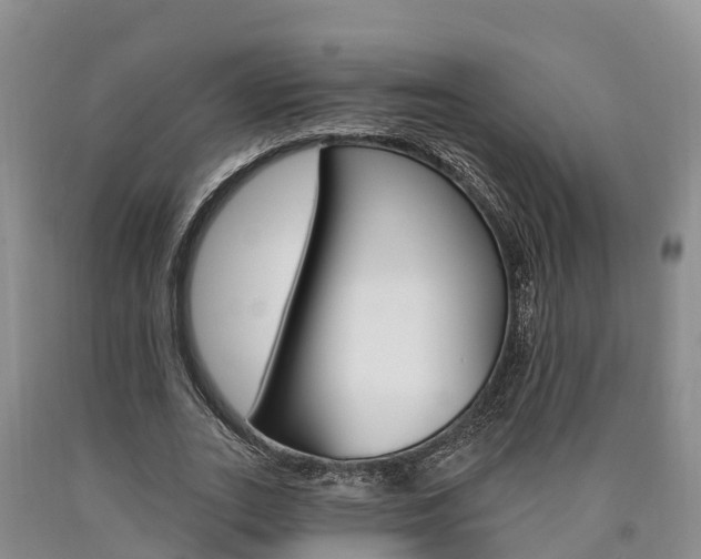 X0000090870727200707270954