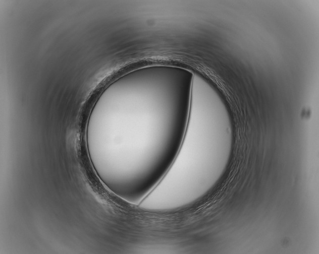 X0000090870728200707270954