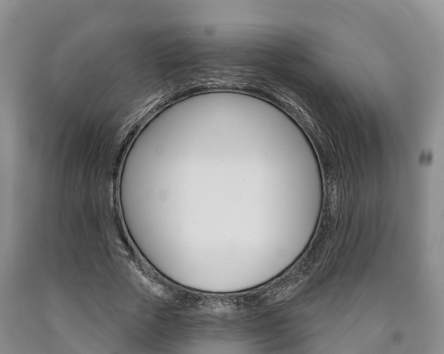 X0000090870729200707270954