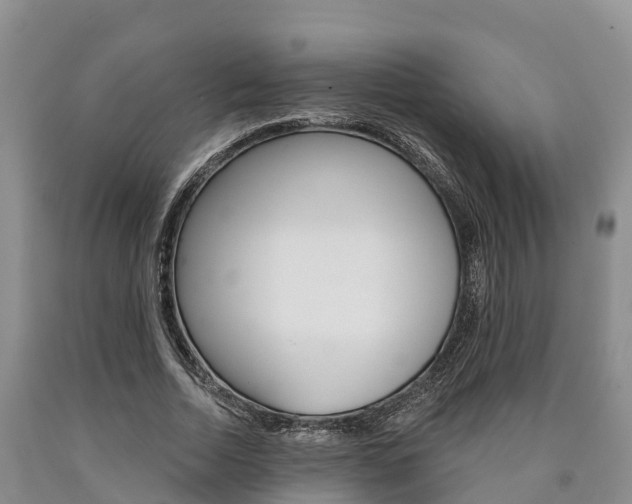 X0000090870730200707270954