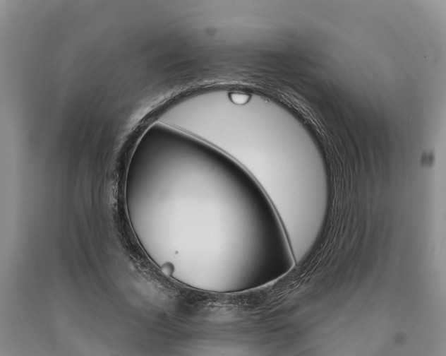 X0000090870732200707270954