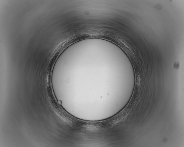 X0000090870733200707270954