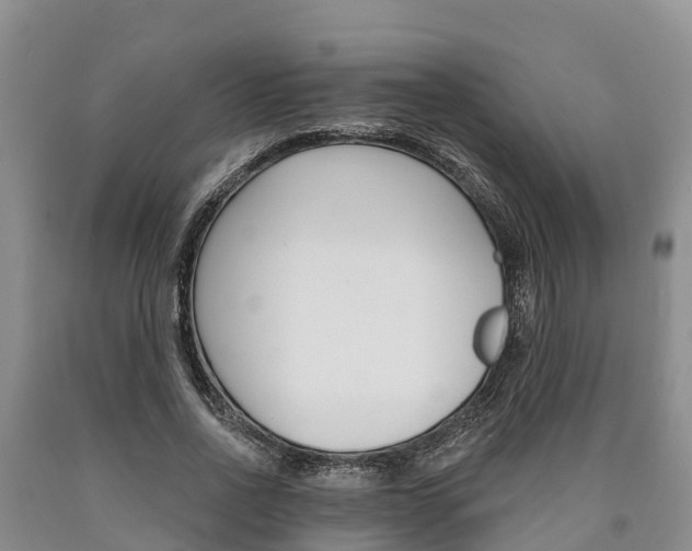 X0000090870734200707270954