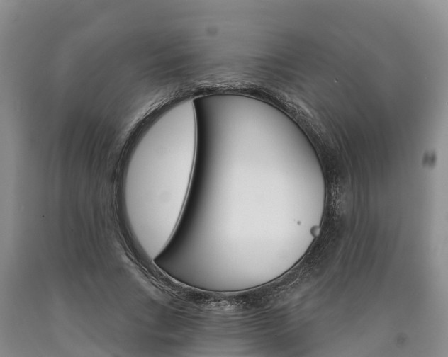 X0000090870735200707270954