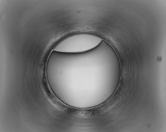 X0000090870736200707270954