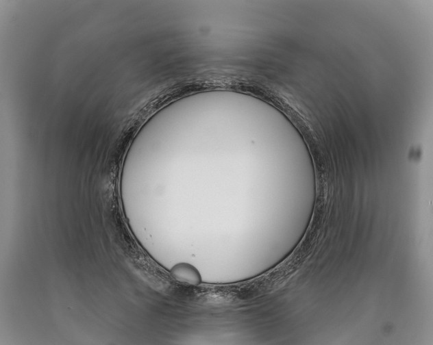 X0000090870737200707270954