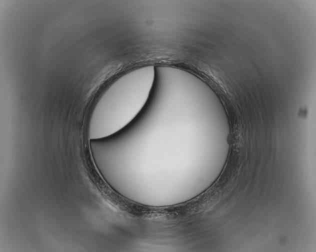 X0000090870738200707270954
