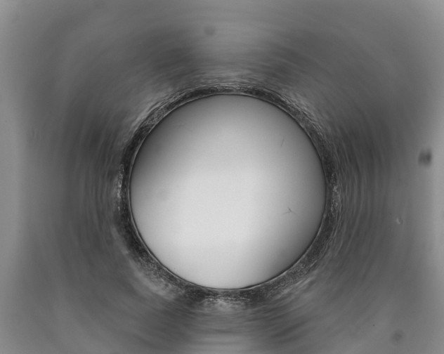 X0000090870739200707270954