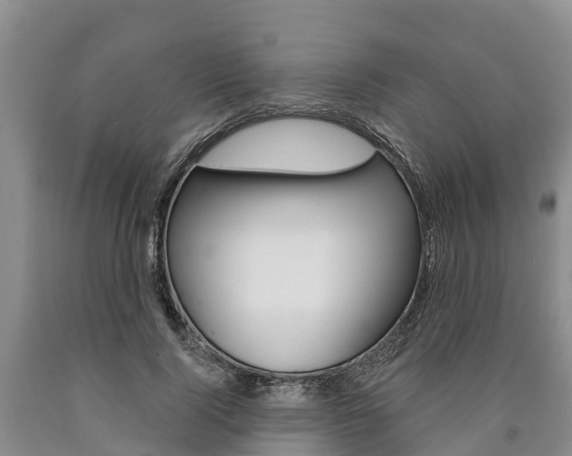 X0000090870740200707270954