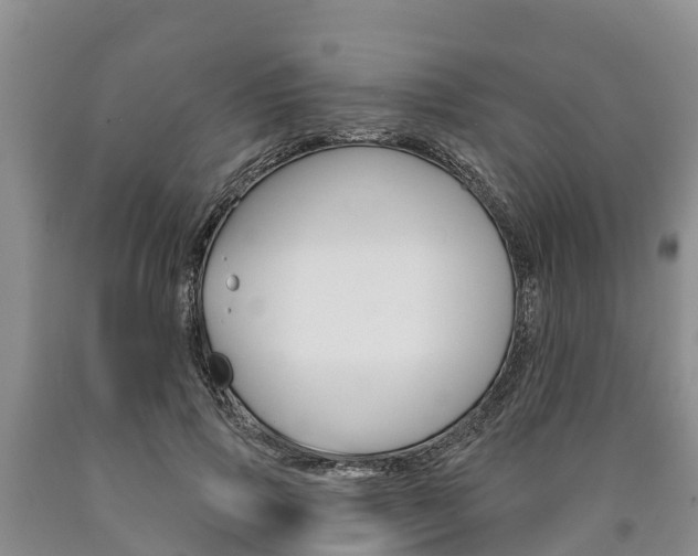 X0000090870741200707270954