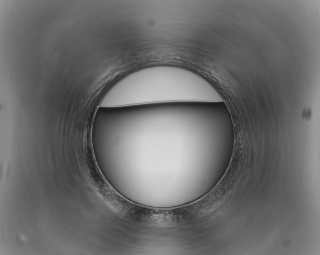 X0000090870744200707270954