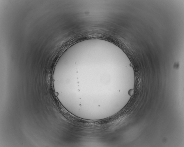 X0000090870745200707270954