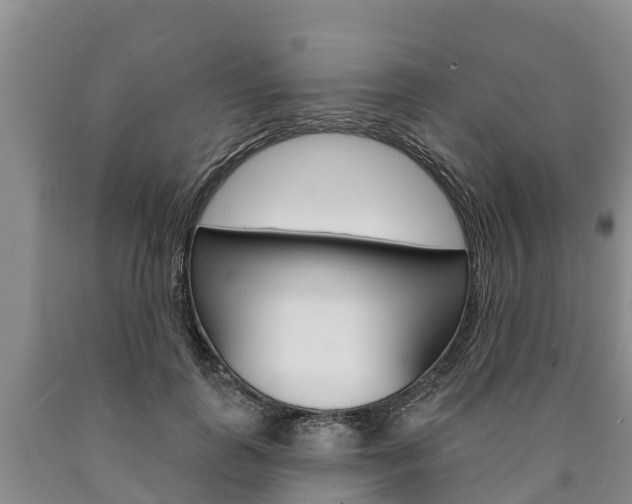 X0000090870747200707270954