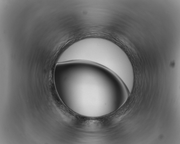X0000090870748200707270954