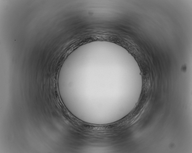 X0000090870749200707270954