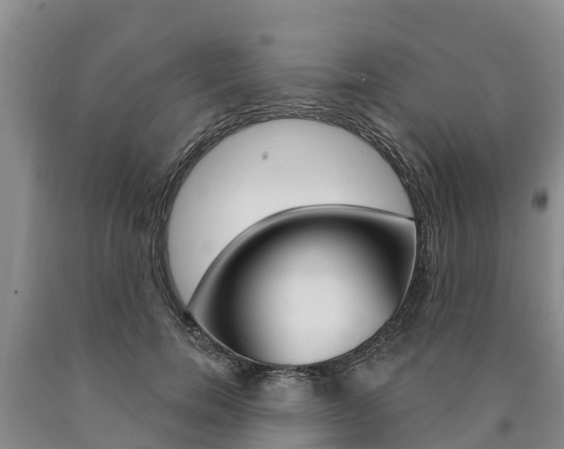 X0000090870750200707270954