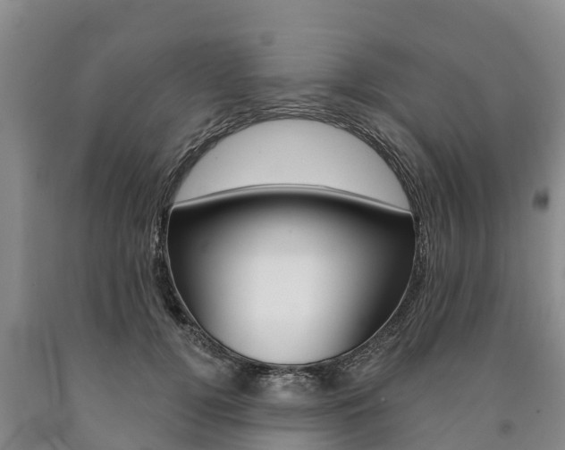 X0000090870752200707270954