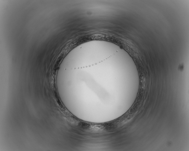 X0000090870753200707270954