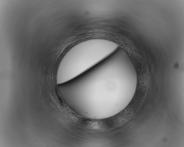 X0000090870755200707270954