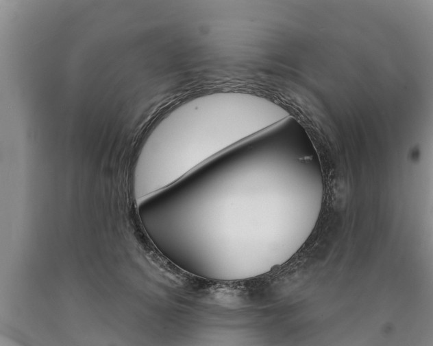 X0000090870756200707270954