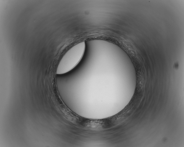 X0000090870758200707270954