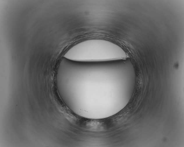 X0000090870759200707270954