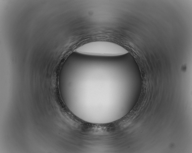 X0000090870760200707270954