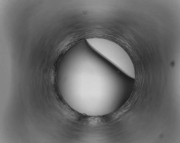 X0000090870762200707270954