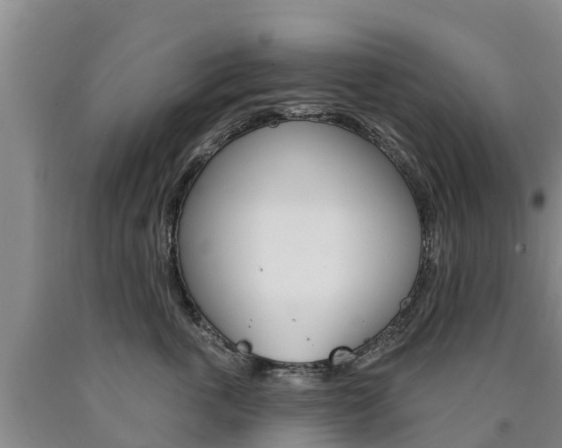 X0000090870763200707270954