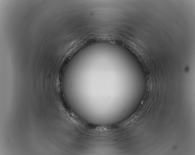 X0000090870764200707270954