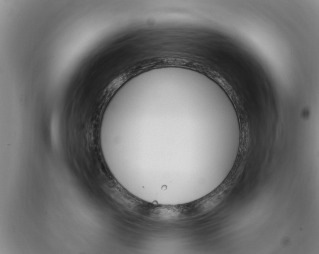 X0000090870765200707270955