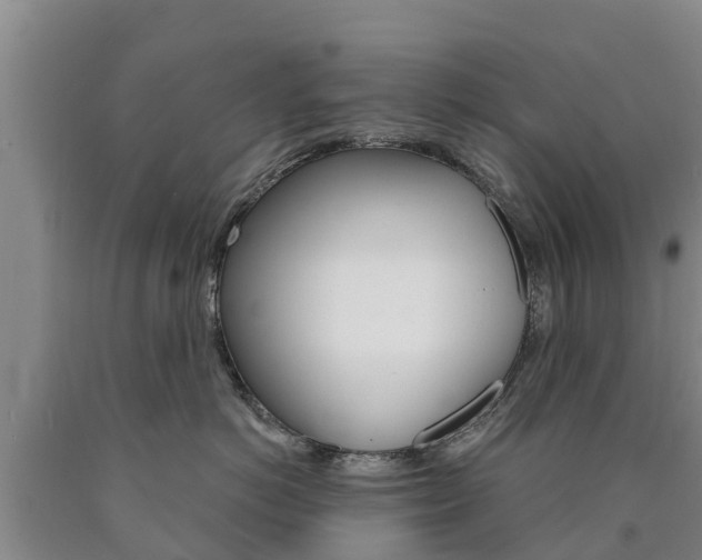 X0000090870766200707270955