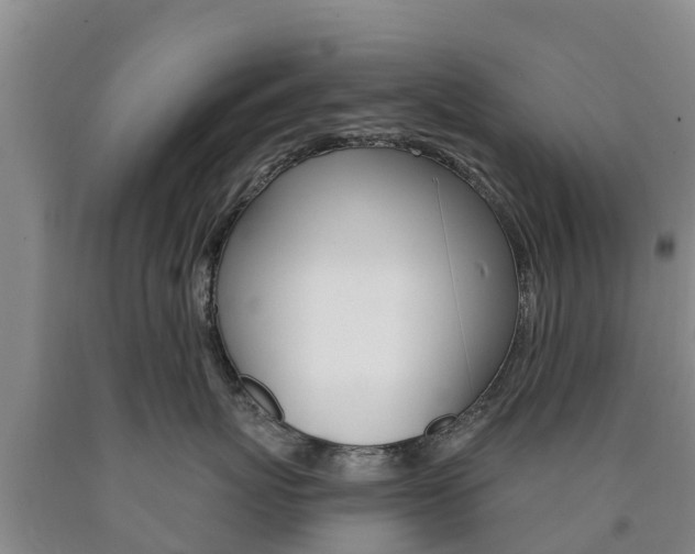 X0000090870767200707270955