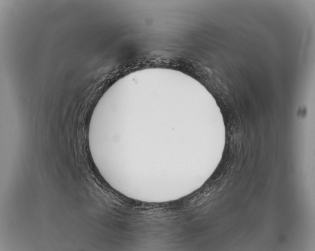 X0000090870769200707270954