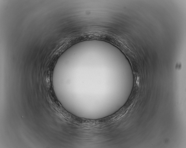 X0000090870771200707270954