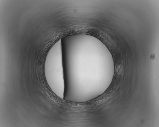 X0000090870772200707270954