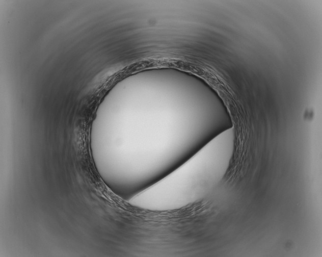 X0000090870773200707270954