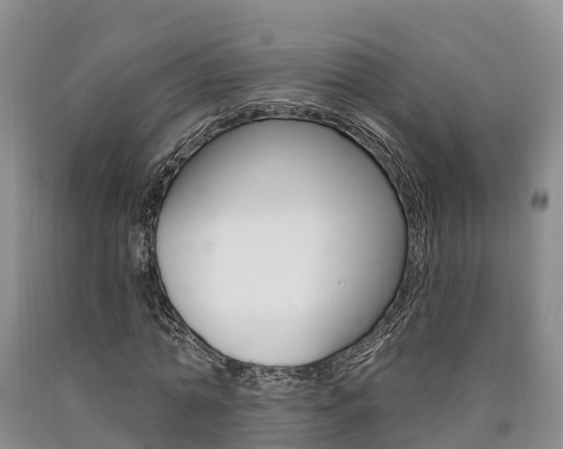 X0000090870774200707270954