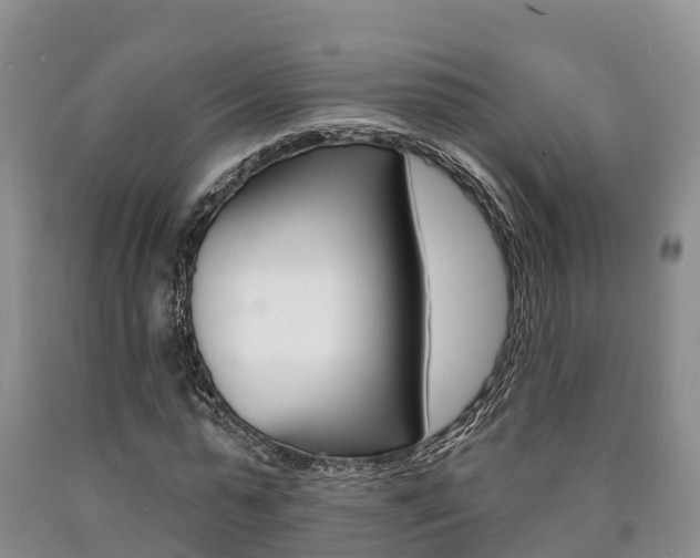 X0000090870775200707270954